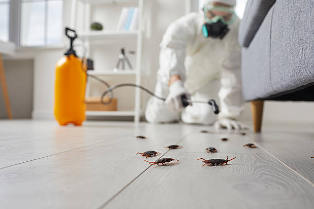 Commercial Kitchen Cockroach Control in Tennille